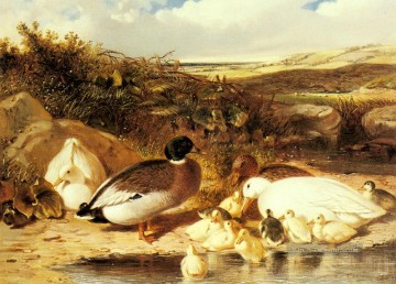 Mallard Enten und Entenküken auf einem Fluss Herring Snr John Frederick Pferd Ölgemälde